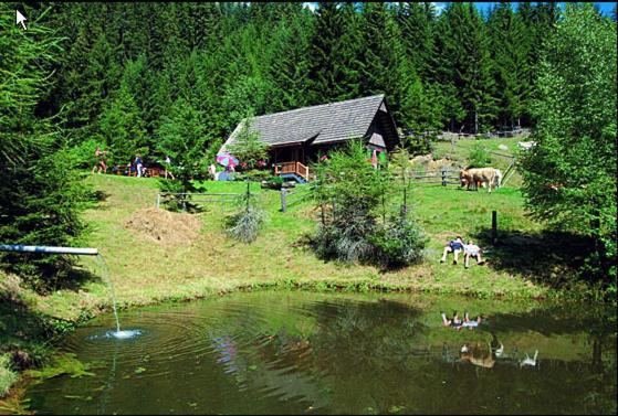 Panoramadorf Saualpe Hotel Eberstein Eksteriør billede