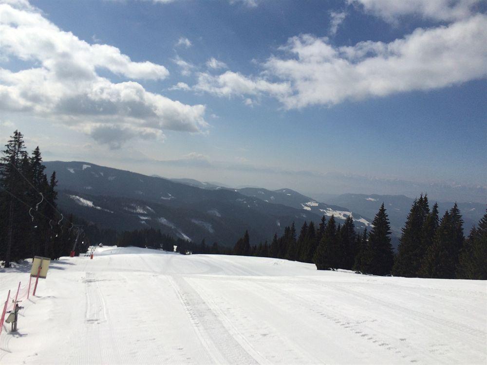Panoramadorf Saualpe Hotel Eberstein Eksteriør billede