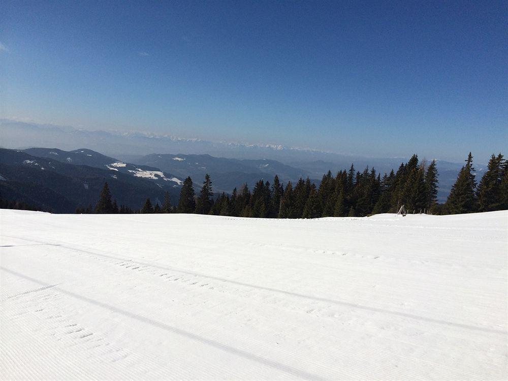 Panoramadorf Saualpe Hotel Eberstein Eksteriør billede